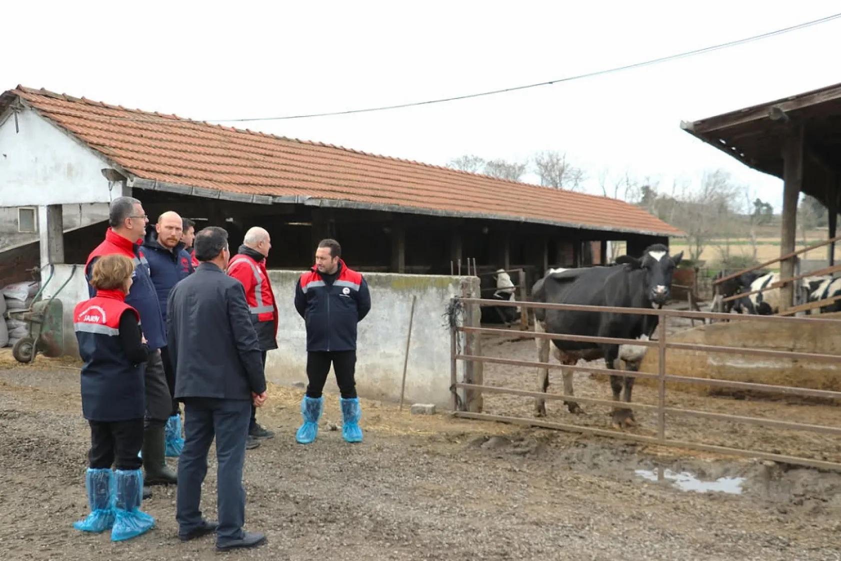 Bafra'da bir işletme daha Hastalıktan Ari oldu