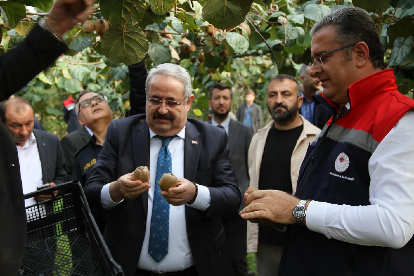 Çarşamba'da '2025 Yılı Kivi Hasat Etkinliği' düzenlendi