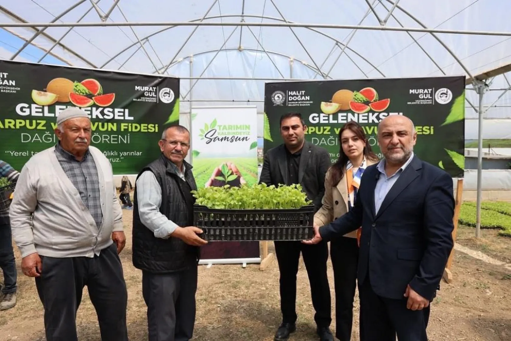 Samsun'da üreticilere 120 bin fide ücretsiz dağıtıldı