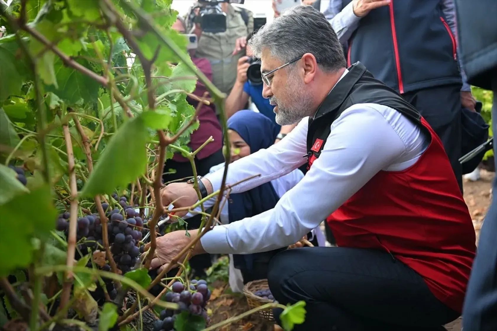 TMO'dan hububat alımında Cumhuriyet tarihinin rekoru