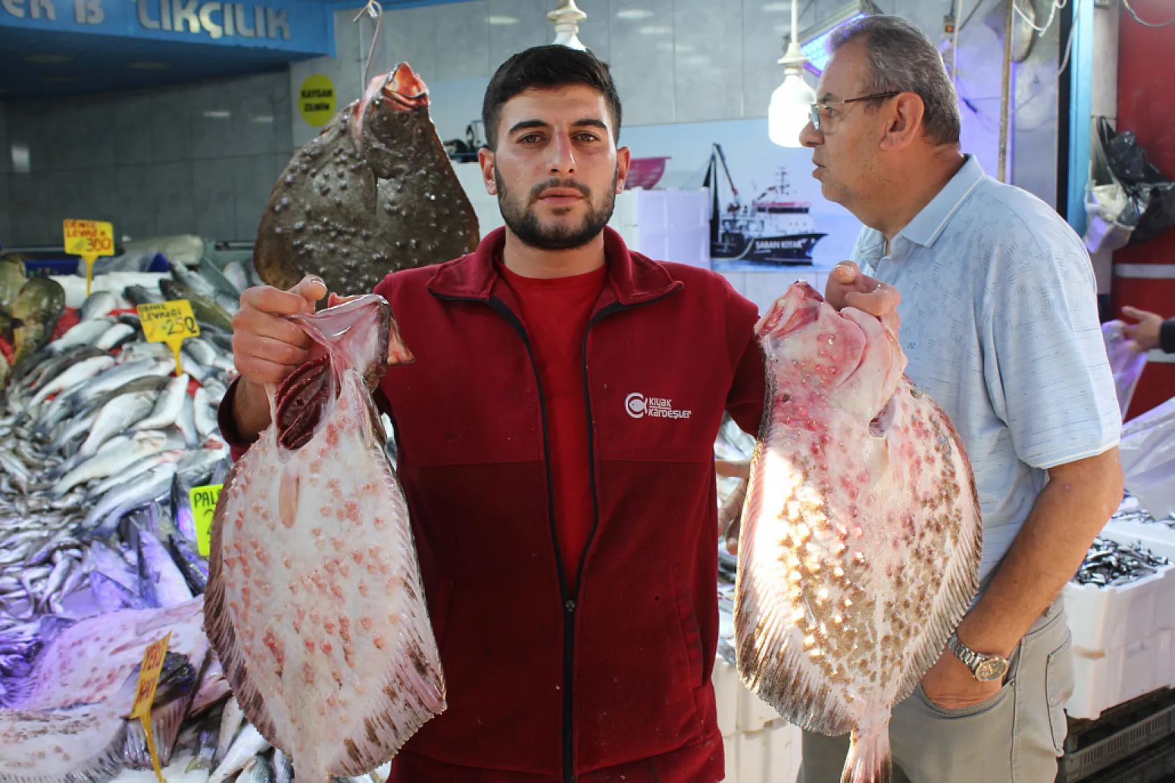 35 Yıllık Balıkçı Anlattı Kalkan Balığının Sırları Say Say Bitmiyor!