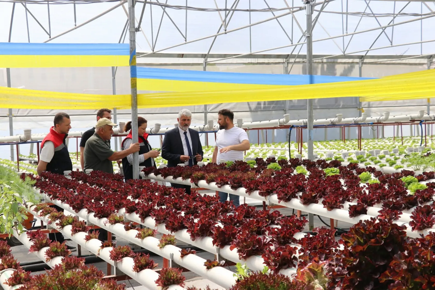 Samsun'da zararlı böcek mücadelesinde tuzaklama sistemi
