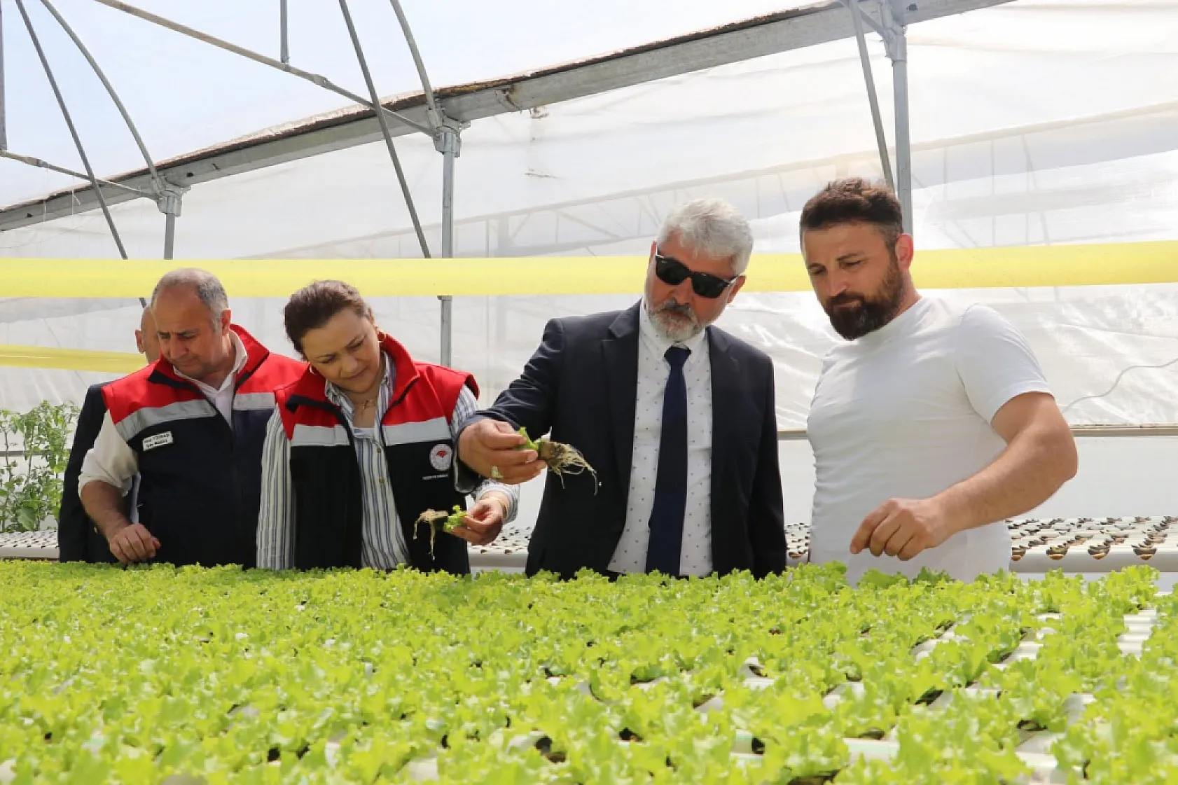 Samsun'da zararlı böcek mücadelesinde tuzaklama sistemi