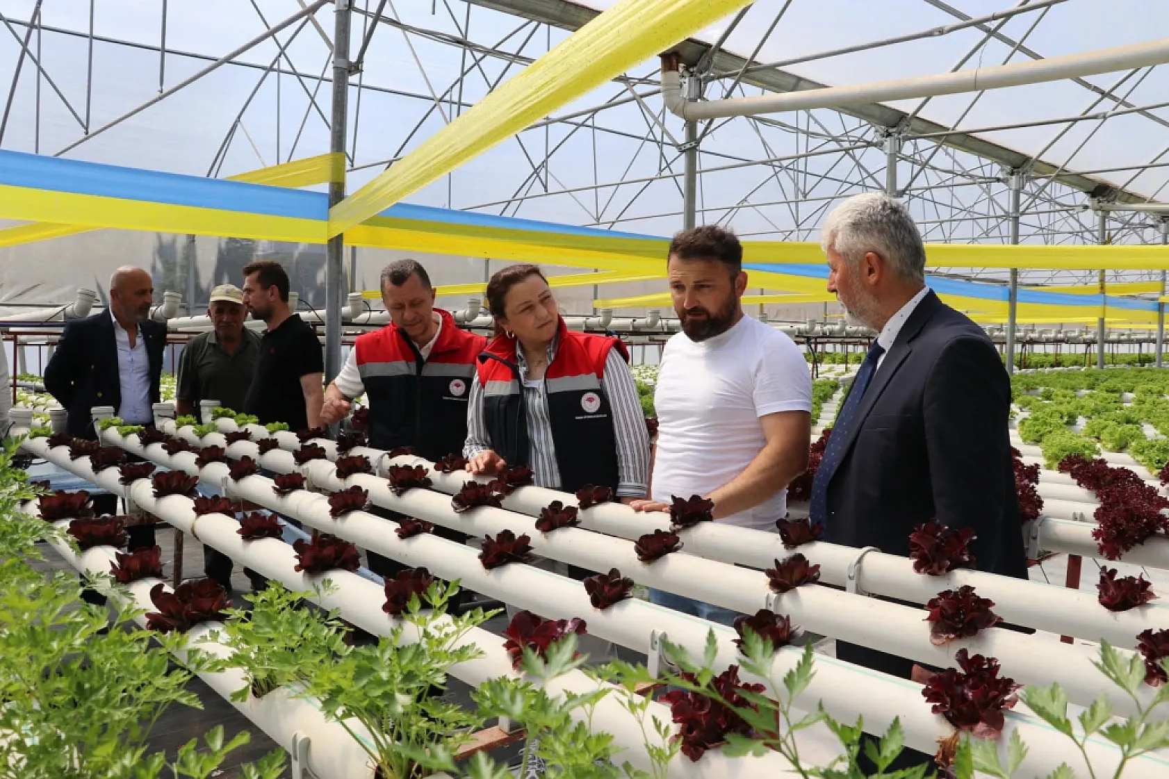 Samsun'da zararlı böcek mücadelesinde tuzaklama sistemi