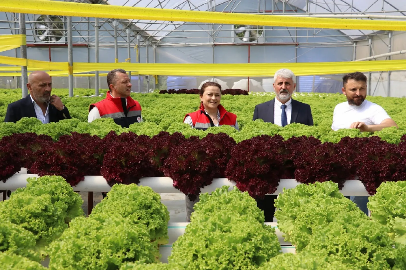 Samsun'da zararlı böcek mücadelesinde tuzaklama sistemi