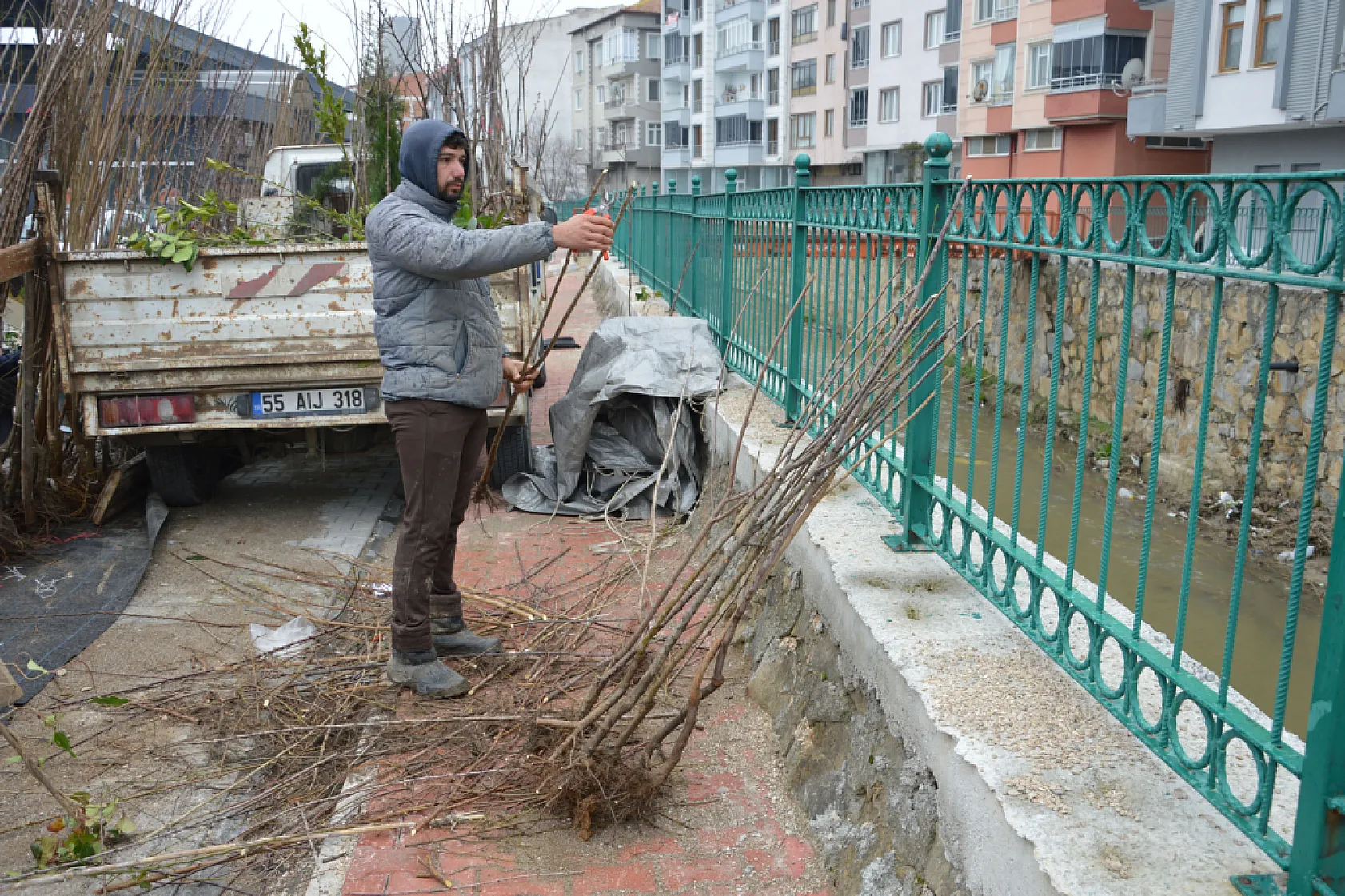 Havza'da fidan pazarı kuruldu, bahar hareketliliği başladı