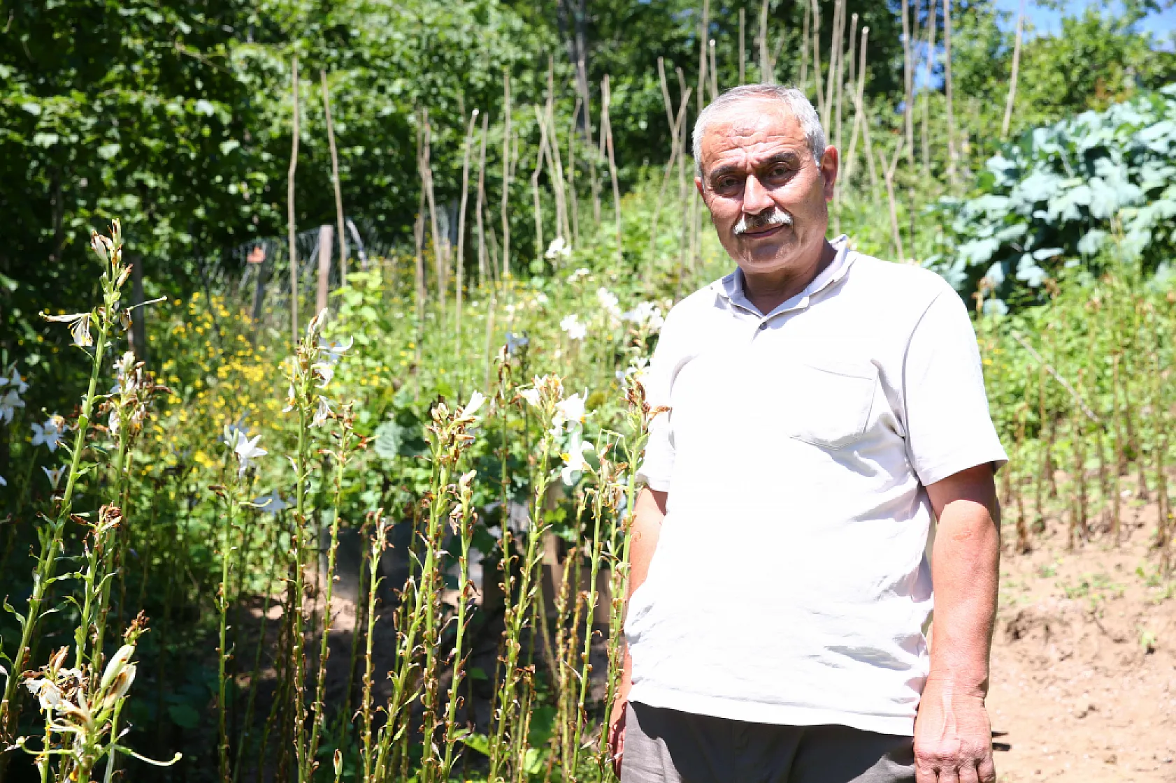 Fındıkla yetinmedi, arazisini alternatif ürünlerle değerlendirdi