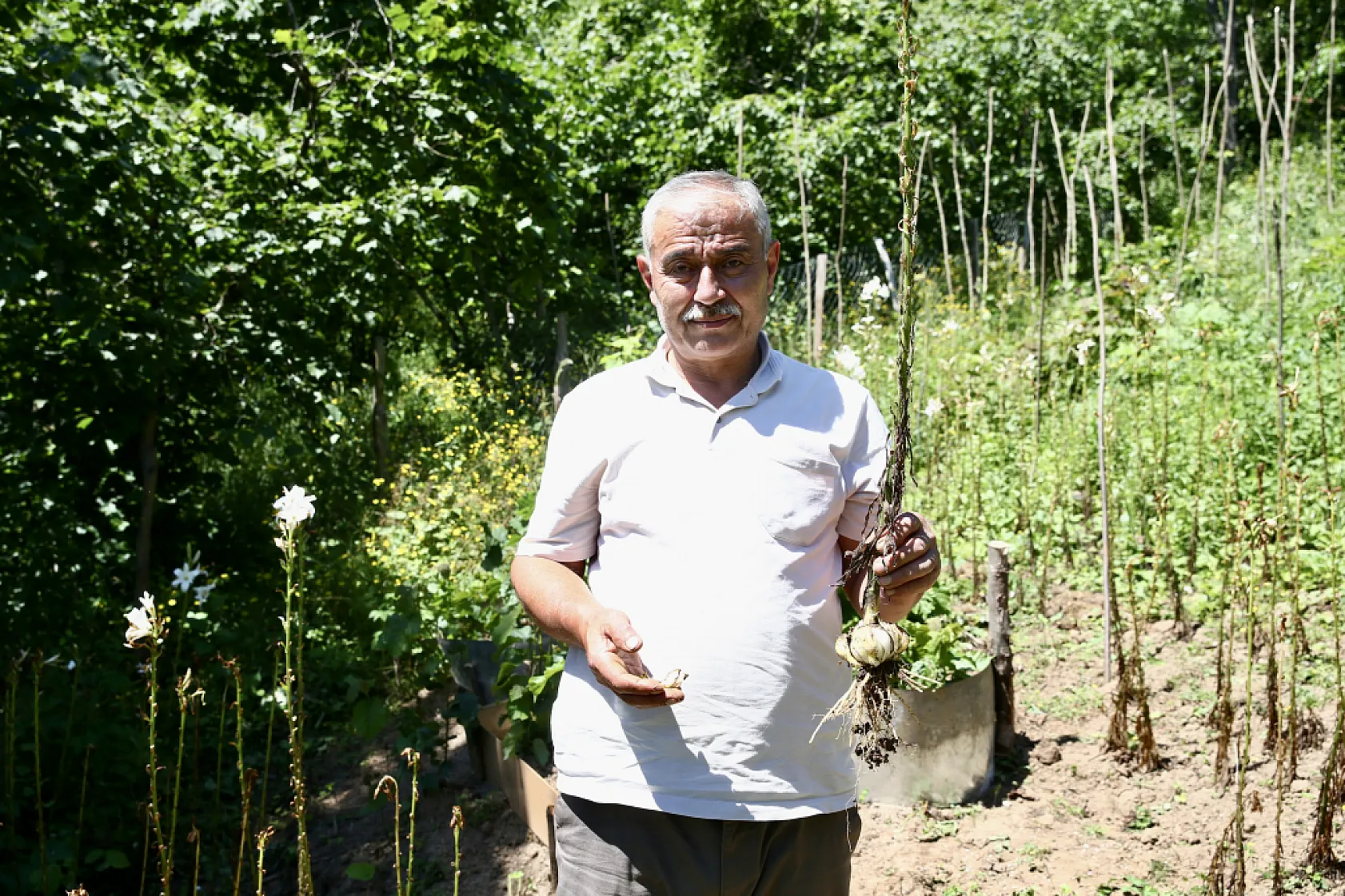 Fındıkla yetinmedi, arazisini alternatif ürünlerle değerlendirdi