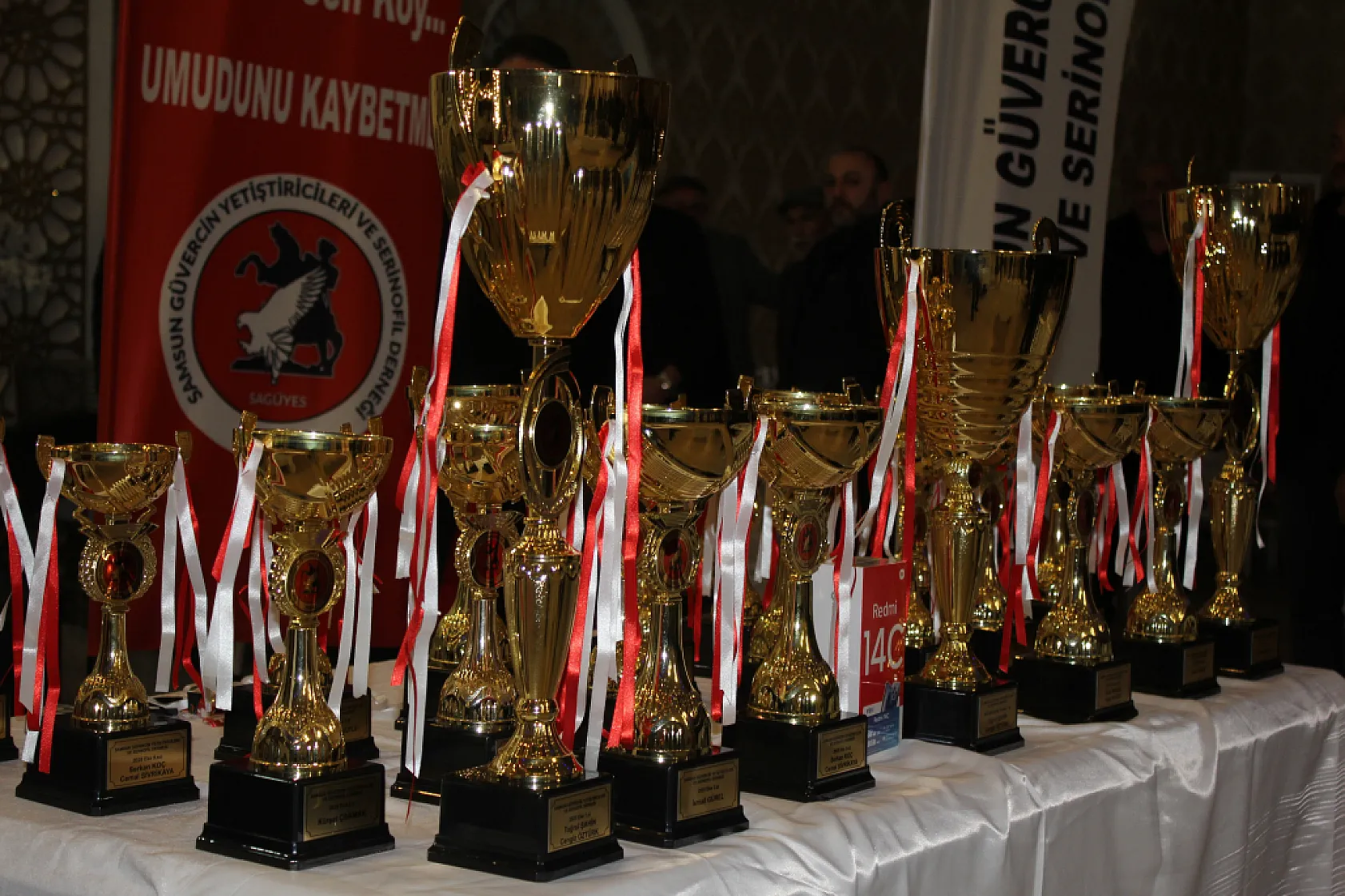Samsun'da güvercin severler kupa töreninde buluştu