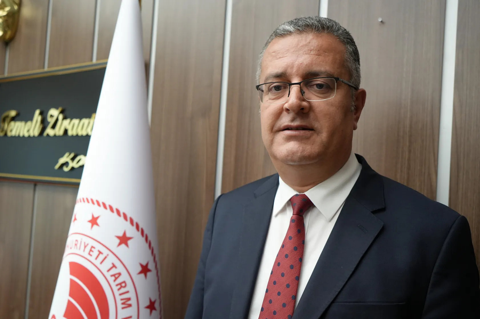 Samsun'da kanola üretimi 47 bin dekara ulaştı: Ekonomiye 350 milyon TL katkı