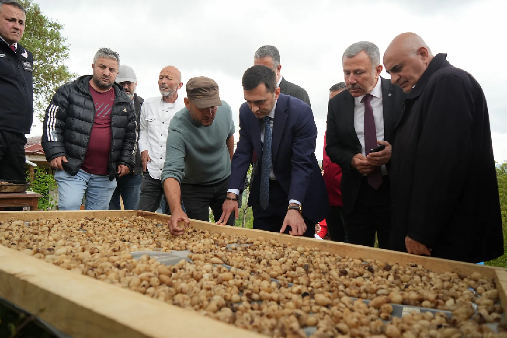 Küçük Alandan Servet Değerinde Salep Çıkıyor!