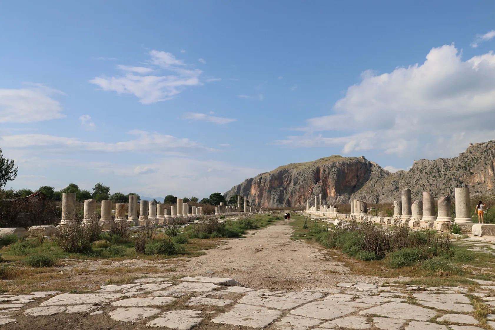 Tarihin kalbi ayçiçekleriyle buluştu