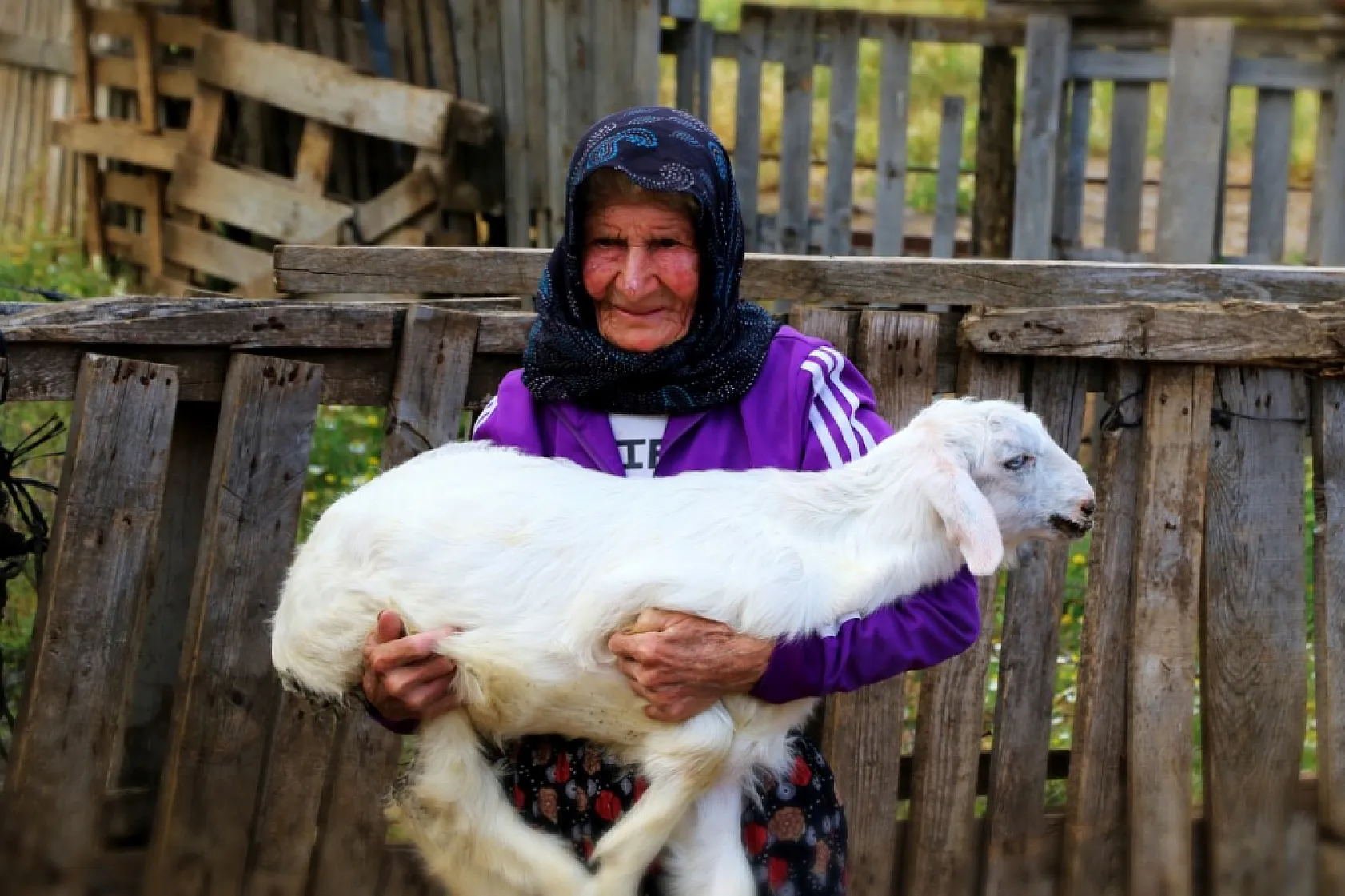 94 yaşındaki Emine Tektaş 90 yıldır çobanlık yapıyor