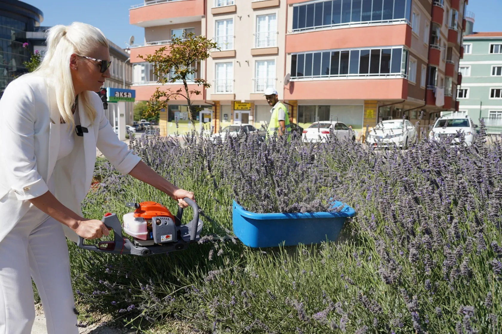 Bilecik'in 'Lavanta Kokulu Yollar' projesine uluslararası ödül