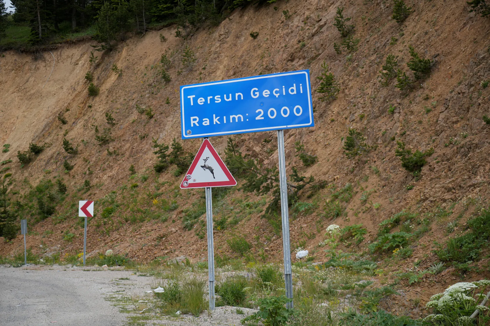 Karadeniz-Akdeniz Hattında Stratejik Adım: Tersun Dağı Tüneli Gündemde