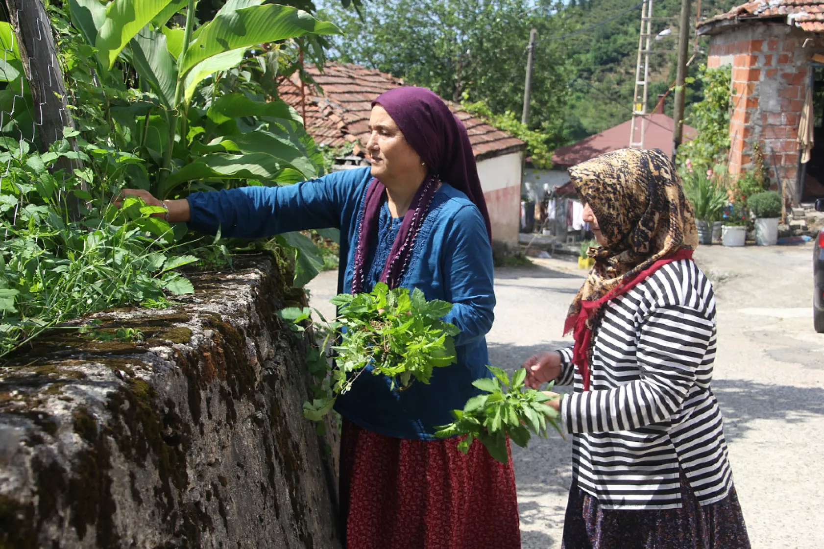 Bu mahallede herkesin soyadı aynı: 135 hanede tek soyisim
