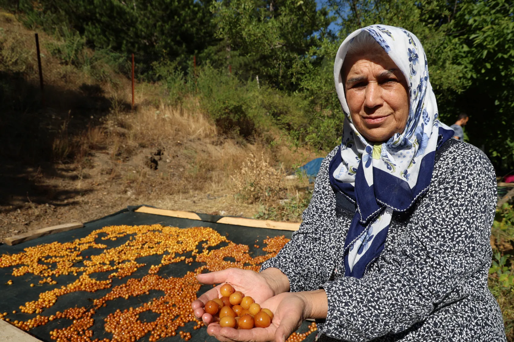 Dalında kalınca çöpe gitmiyor, kışlık çereze dönüşüyor