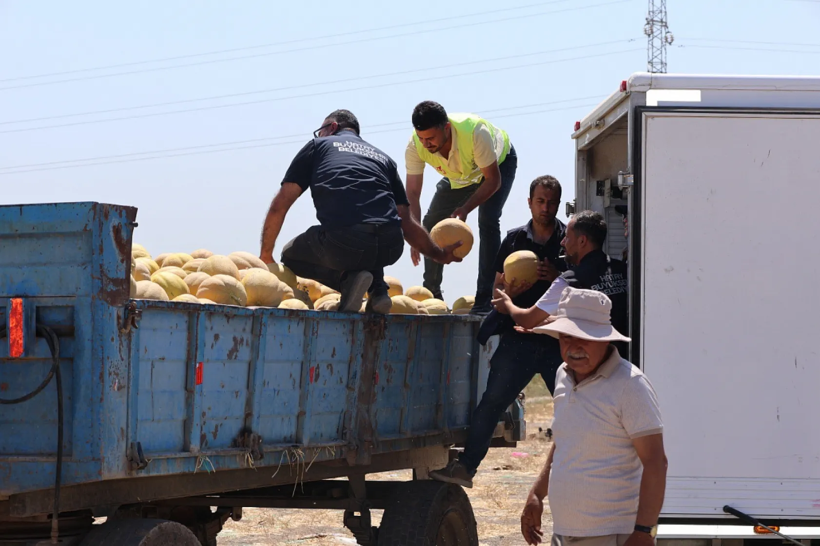 Hatay'da üreticiden alınan 100 ton kavun depremzedelere dağıtıldı