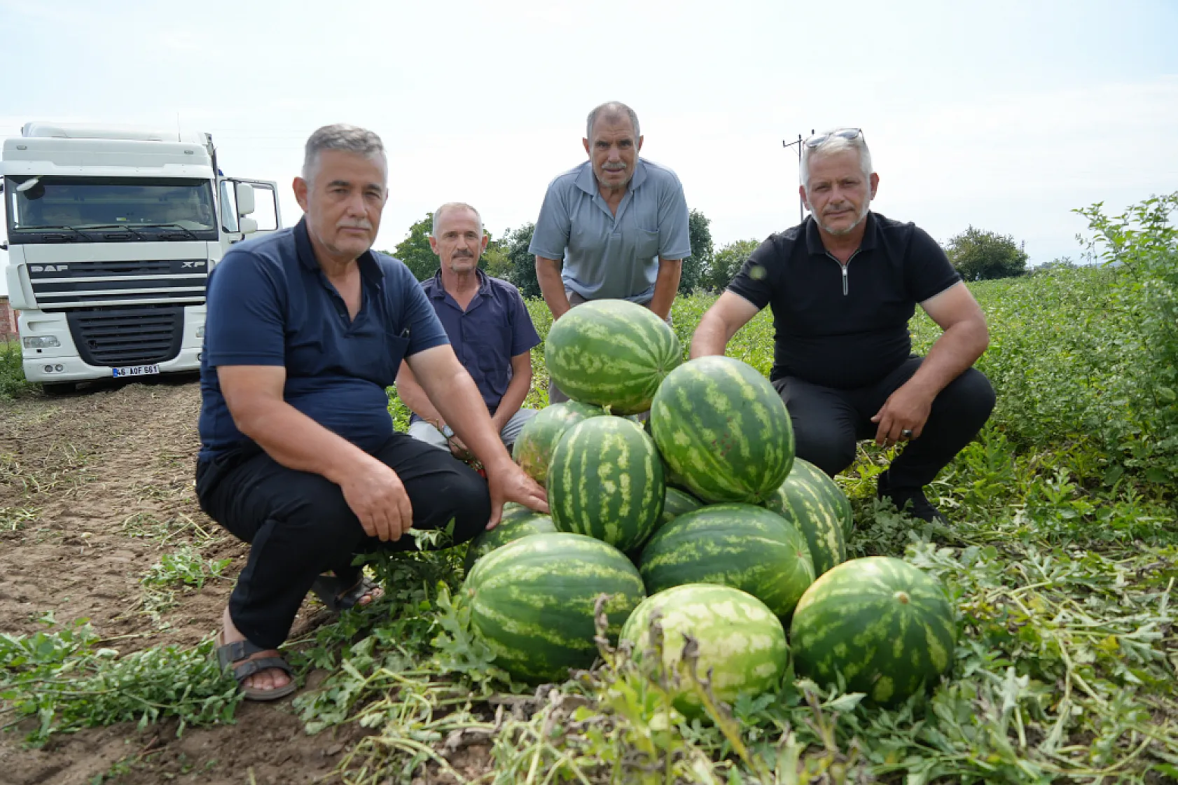 Bafra Ovası'nda baldan tatlı hasat