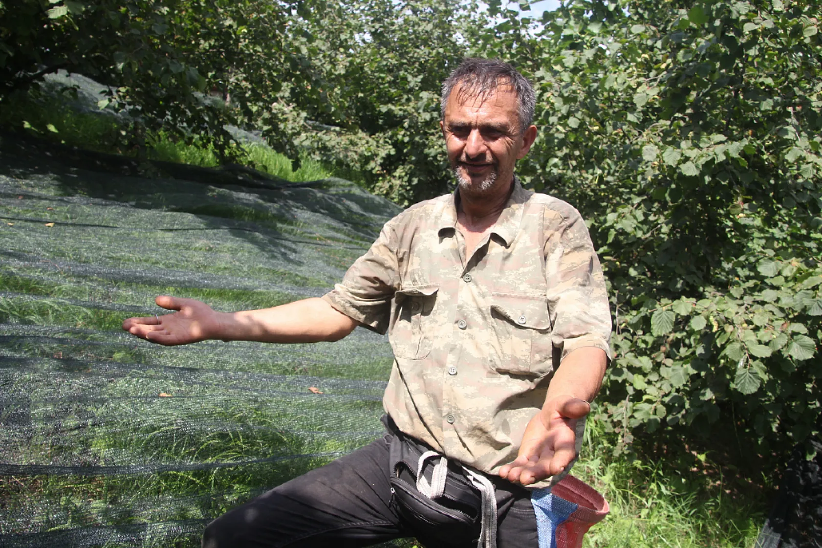 Fındıkta yevmiye yükünü azaltan yöntem