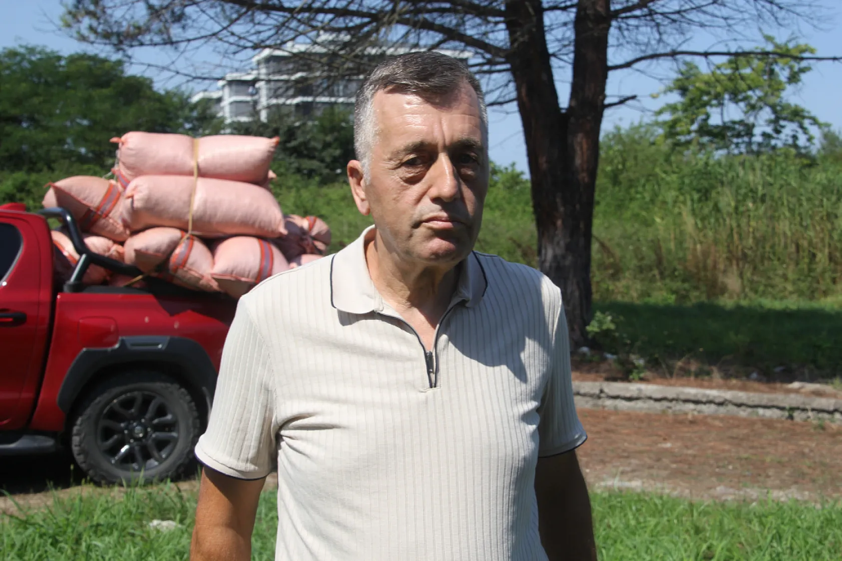 TMO Ordu'da fındık alımına başladı