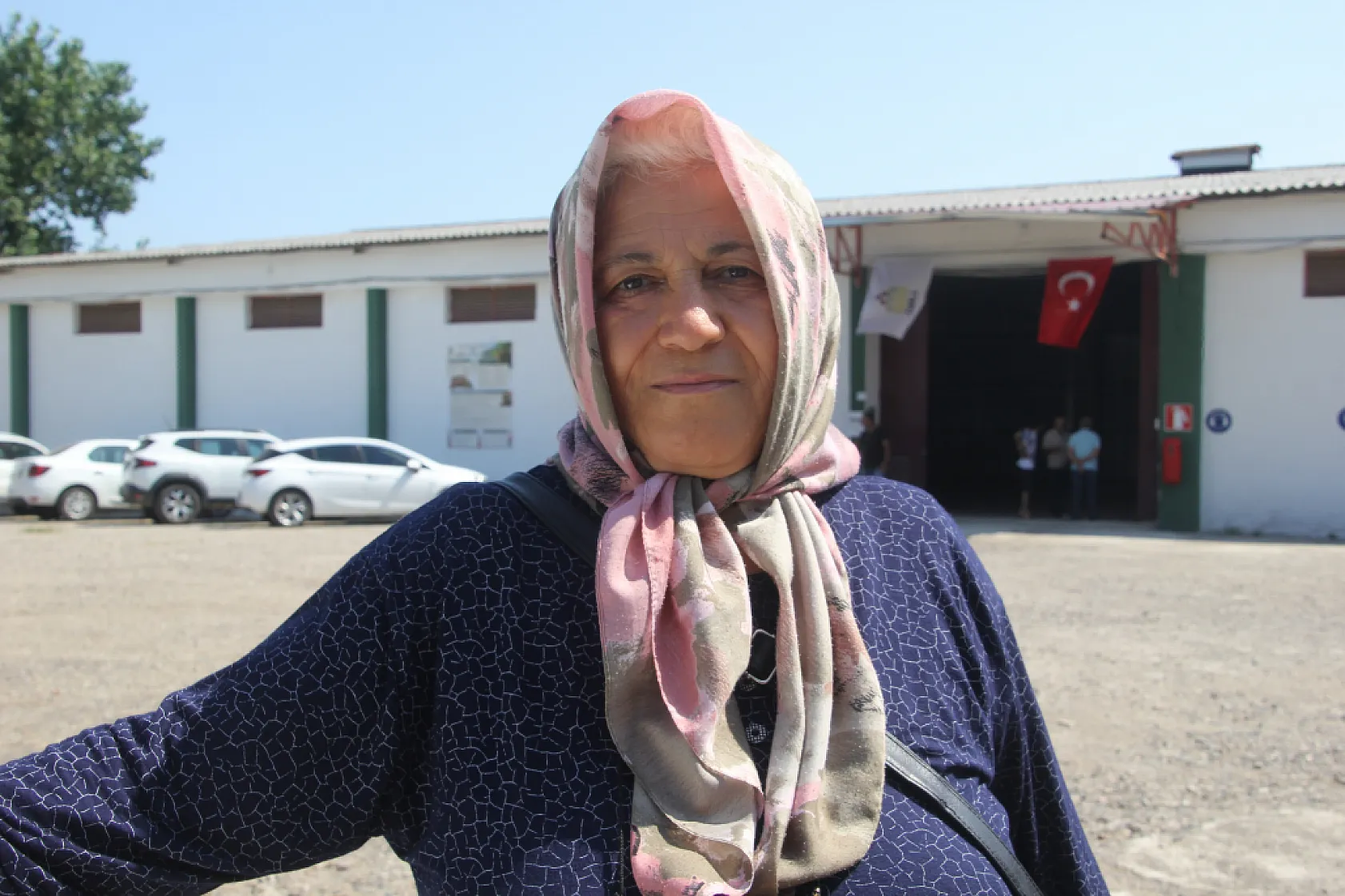 TMO Ordu'da fındık alımına başladı