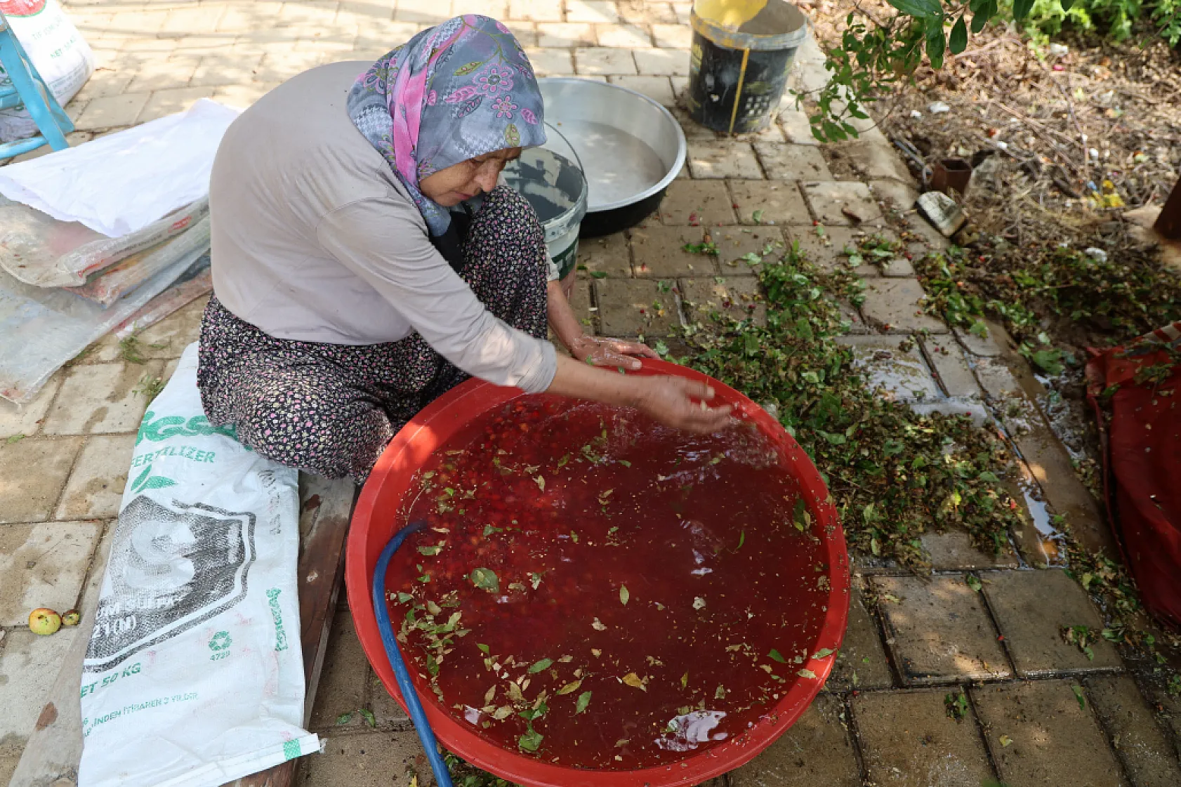 Adana'da kızılcık şerbeti mesaisi başladı