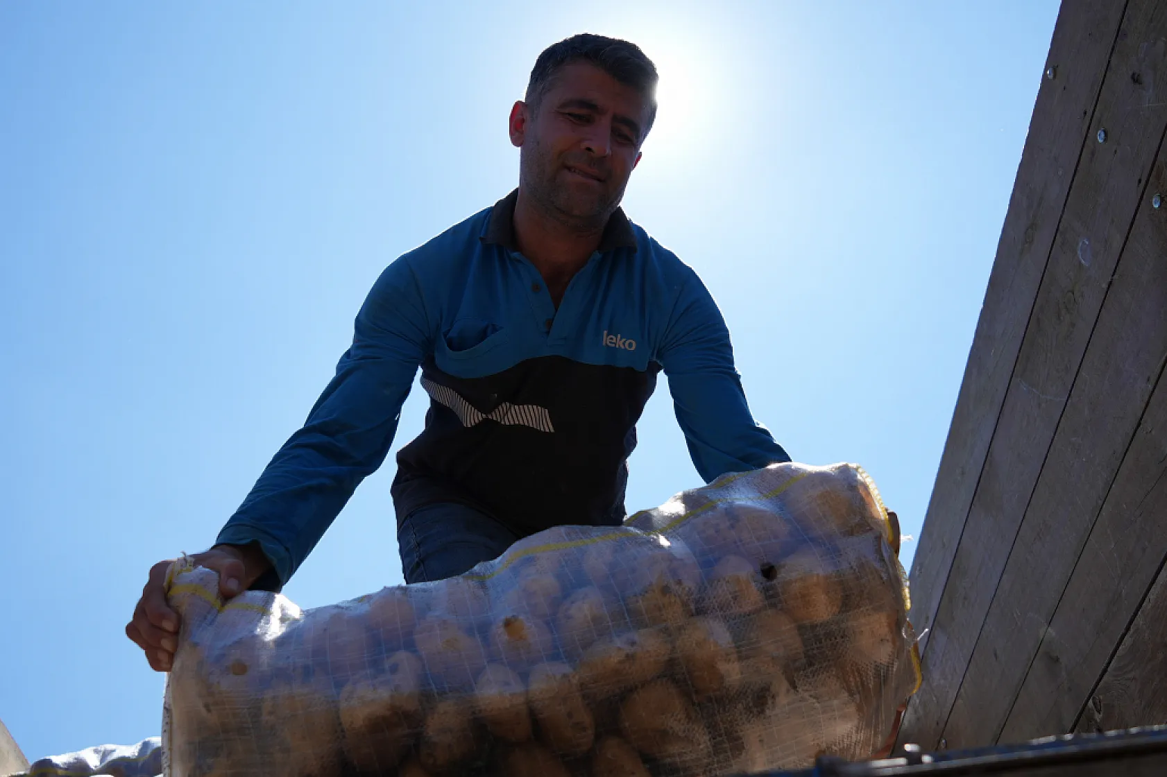 Bolu'da patates hasadı başladı, fiyat tarladan tezgaha yükseliyor
