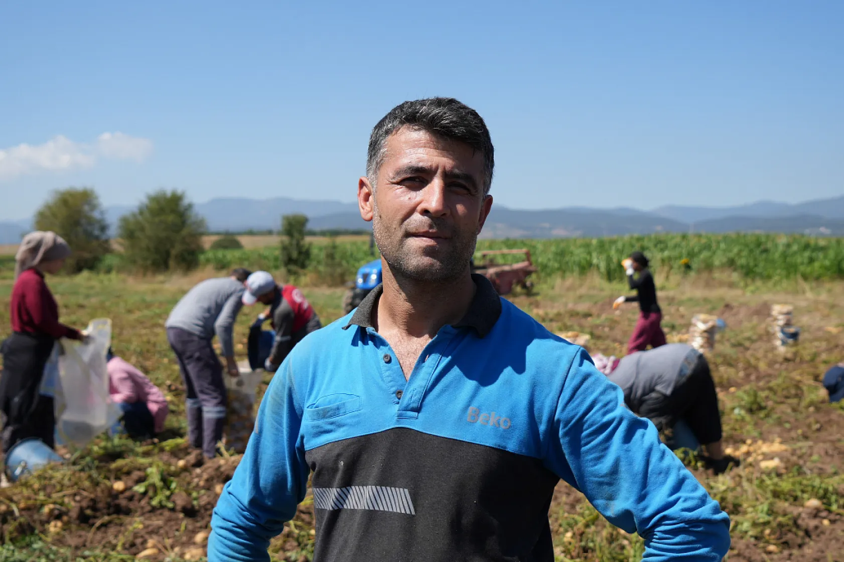 Bolu'da patates hasadı başladı, fiyat tarladan tezgaha yükseliyor