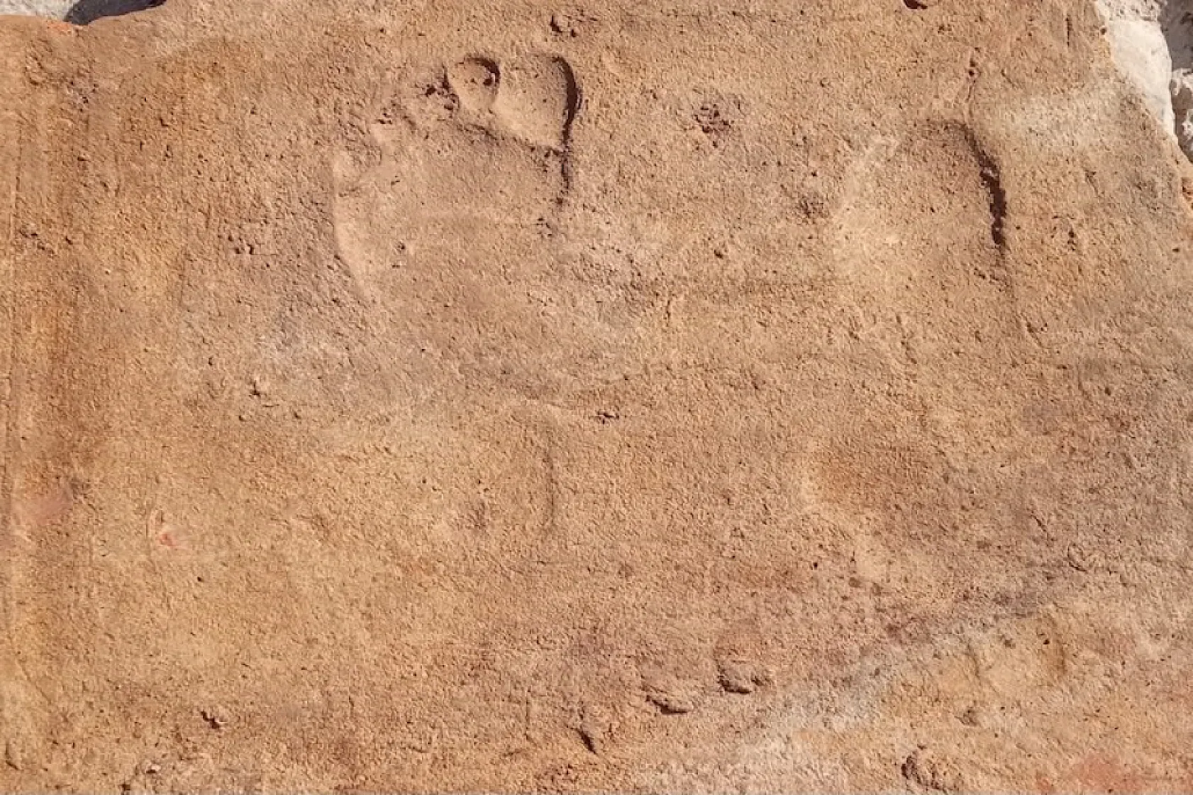Stratonikeia'da bin 900 yıllık çocuk ayak izleri bulundu