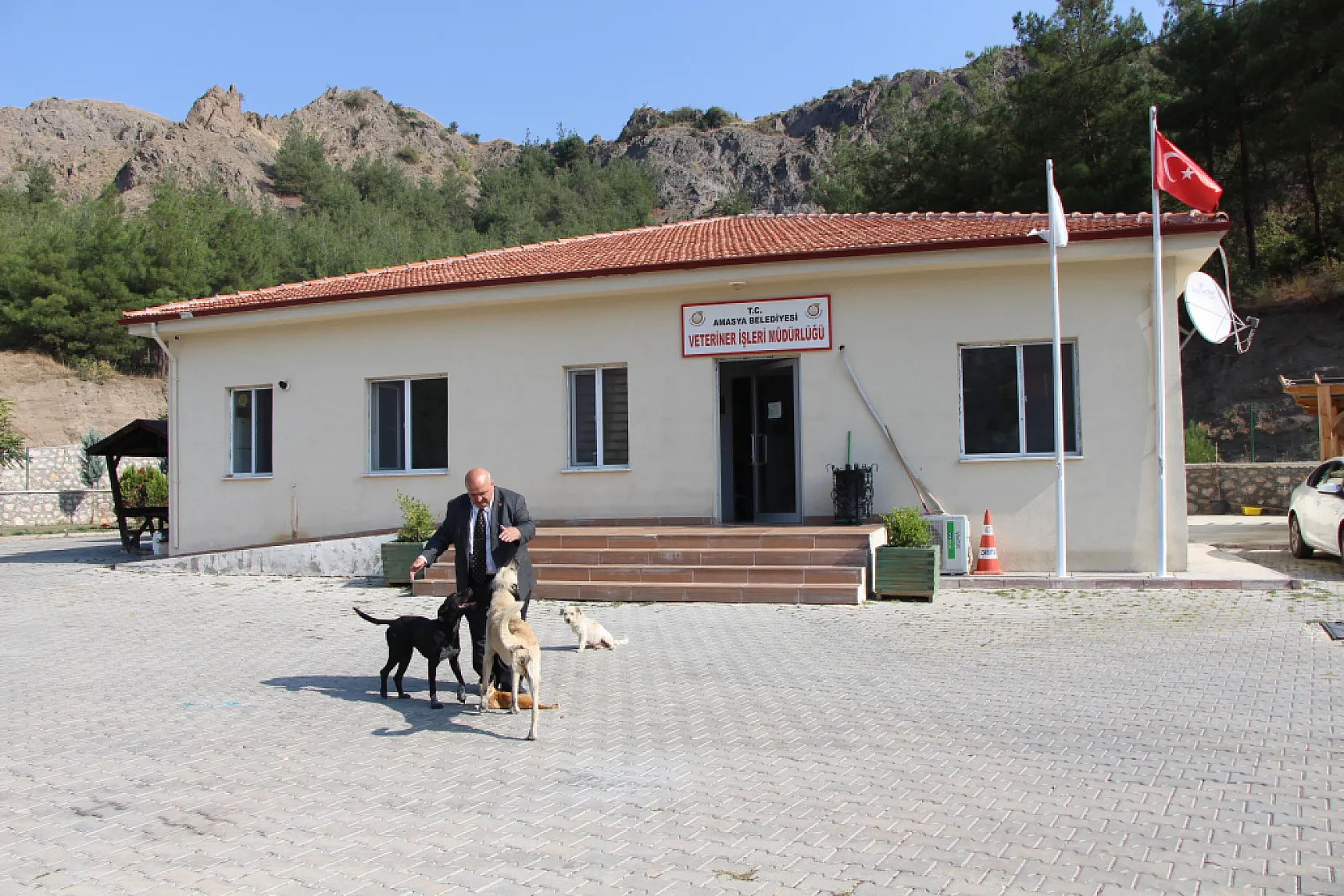 Baykuş yavruları barınağın maskotu oldu