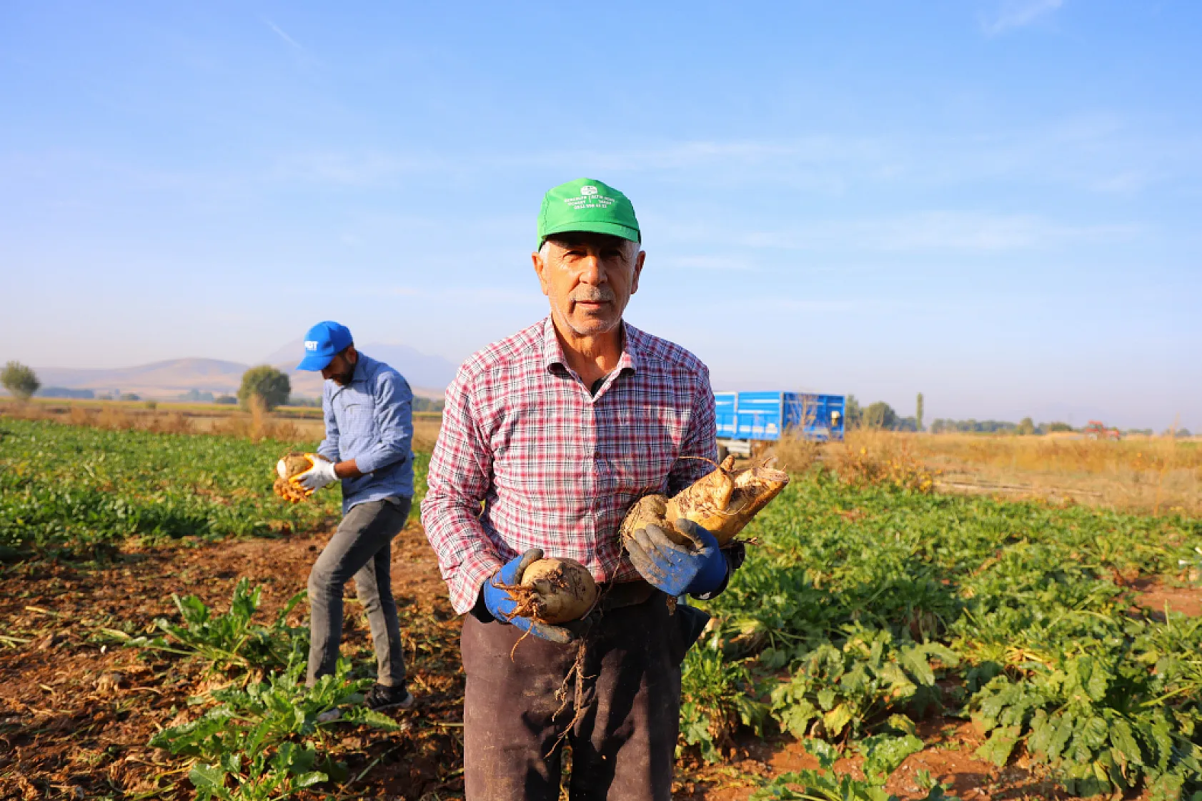 Kahramanmaraş'ta şeker pancarı hasadı başladı: Hedef 500 bin ton