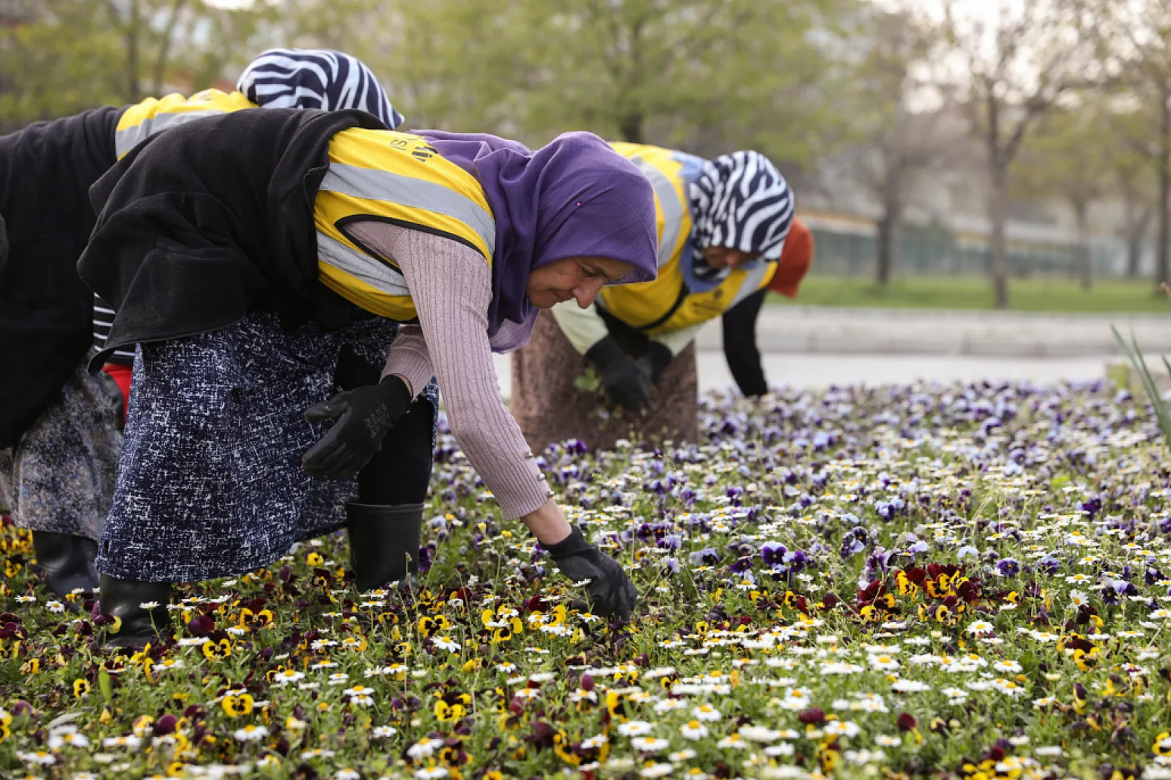 Samsun'un renk kaynakları!