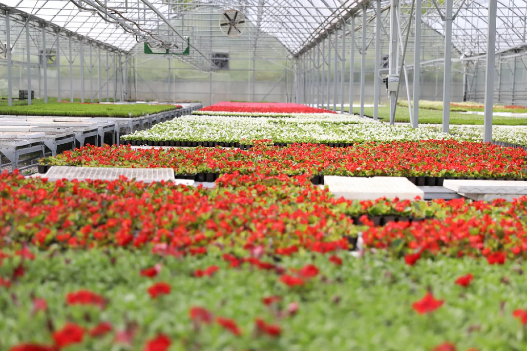 Samsun'un renk kaynakları!