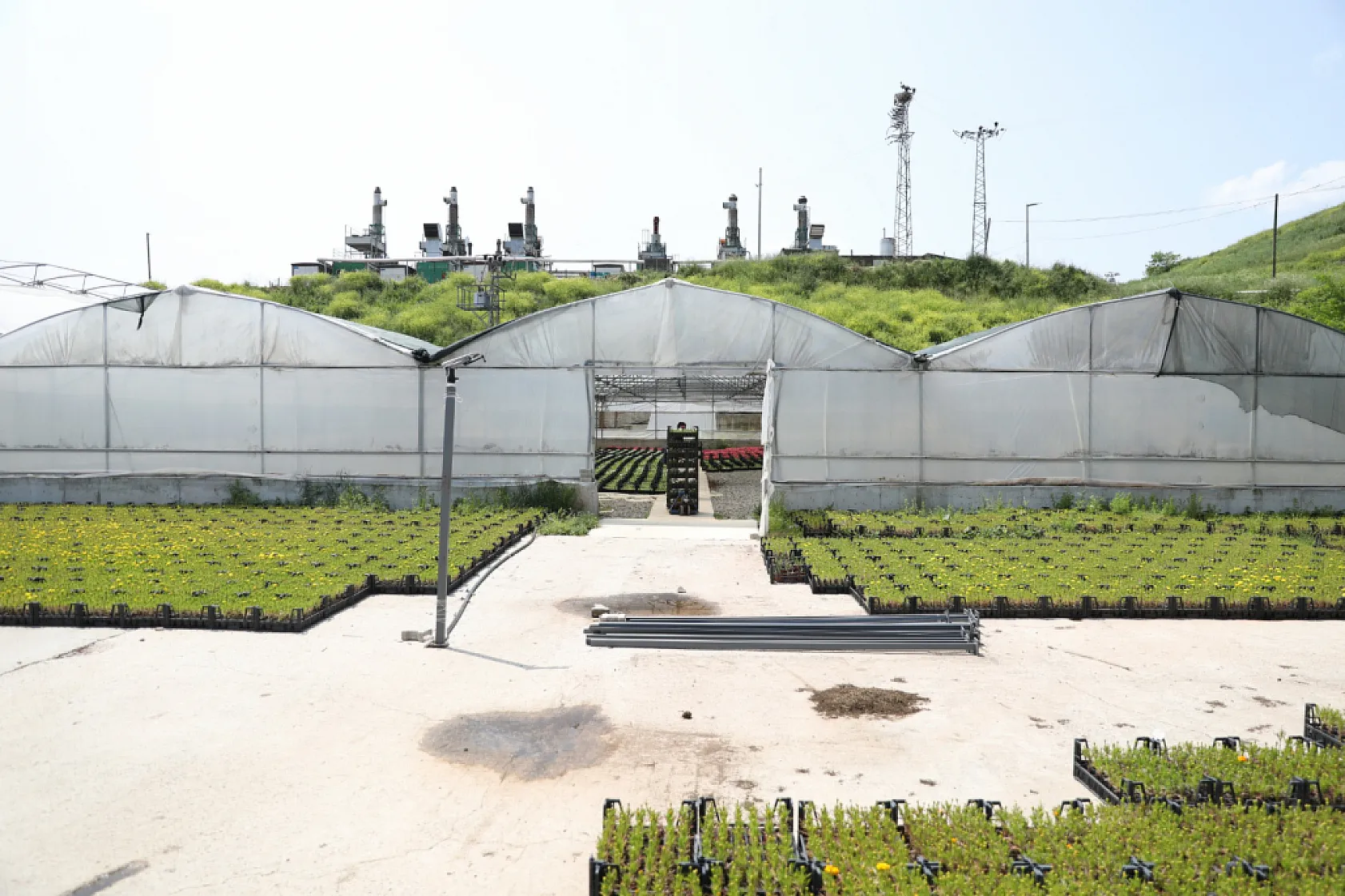 Samsun'un renk kaynakları!