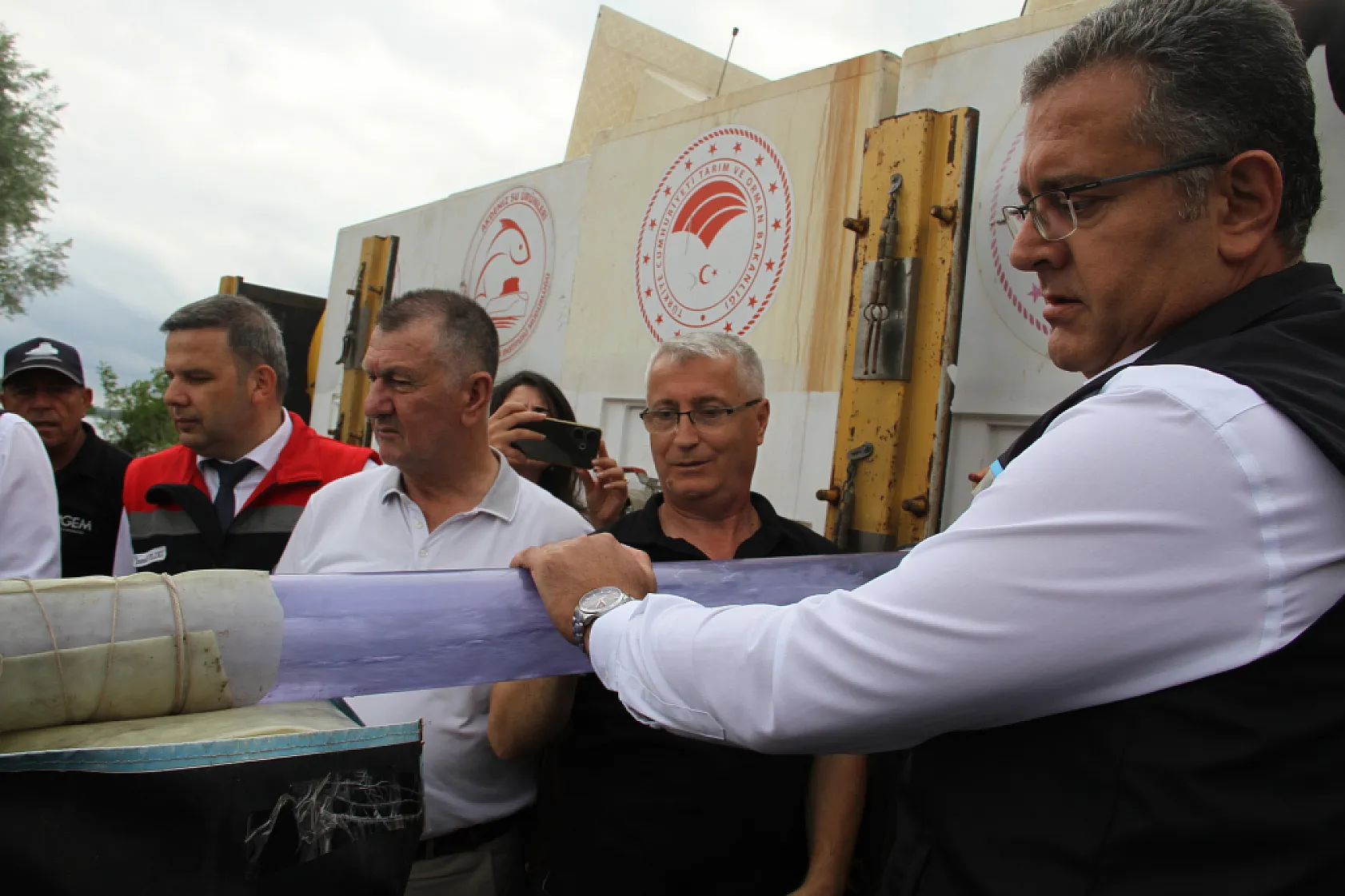 Çarşamba'da Mersin balıkları doğal yaşamla buluştu