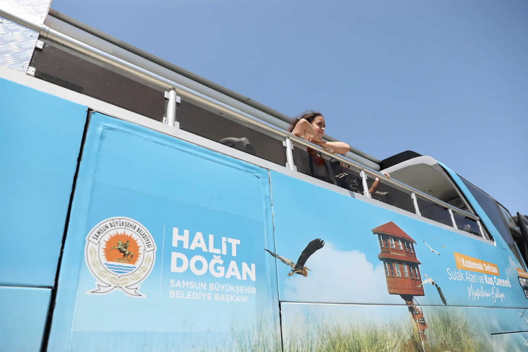 Kızılırmak deltası kuş cenneti'nde bahar coşkusu