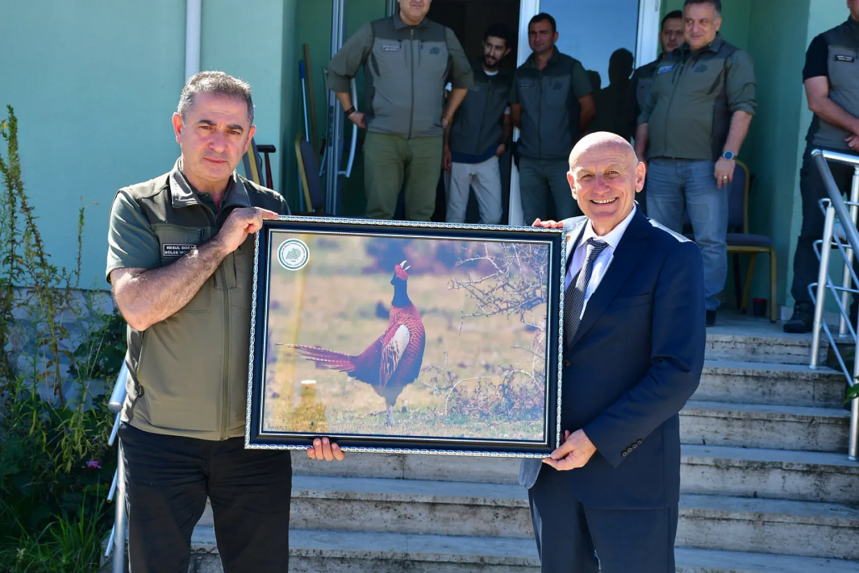 Terme'nin Doğal simgesi Sülün, yeniden doğayla buluştu