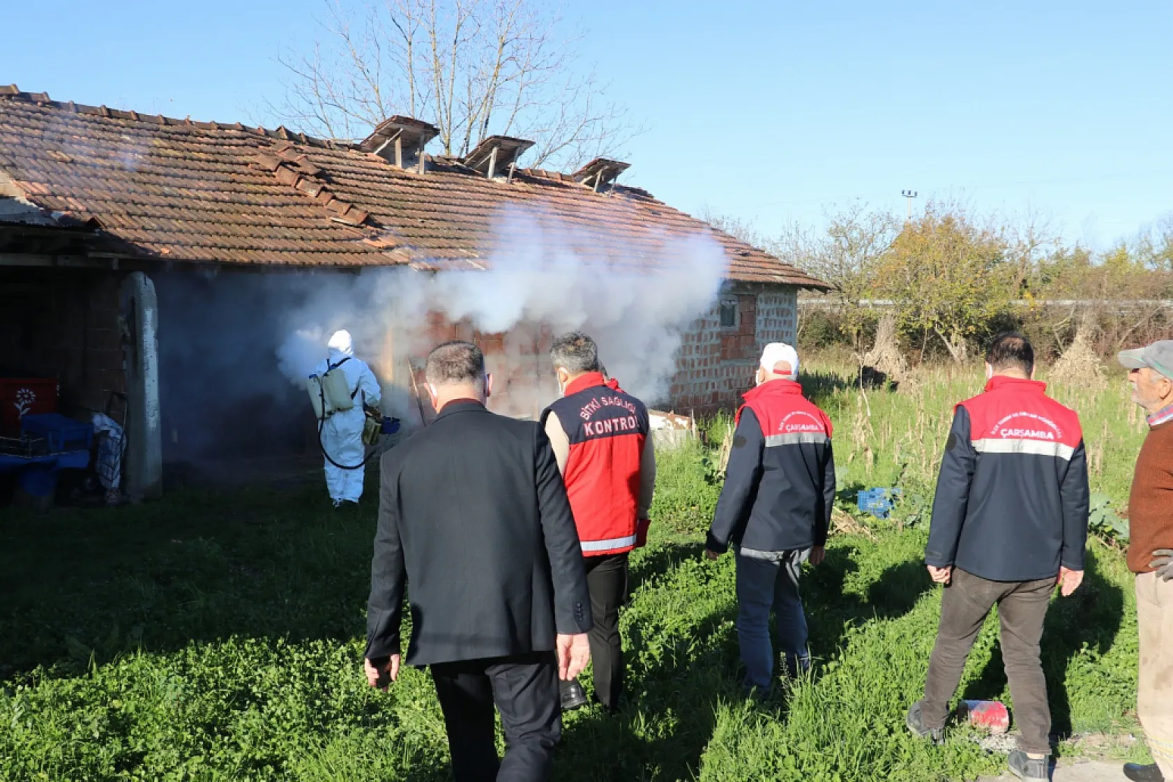 Tarım Zararlısına Karşı Çarşamba'da Mücadele Sürüyor