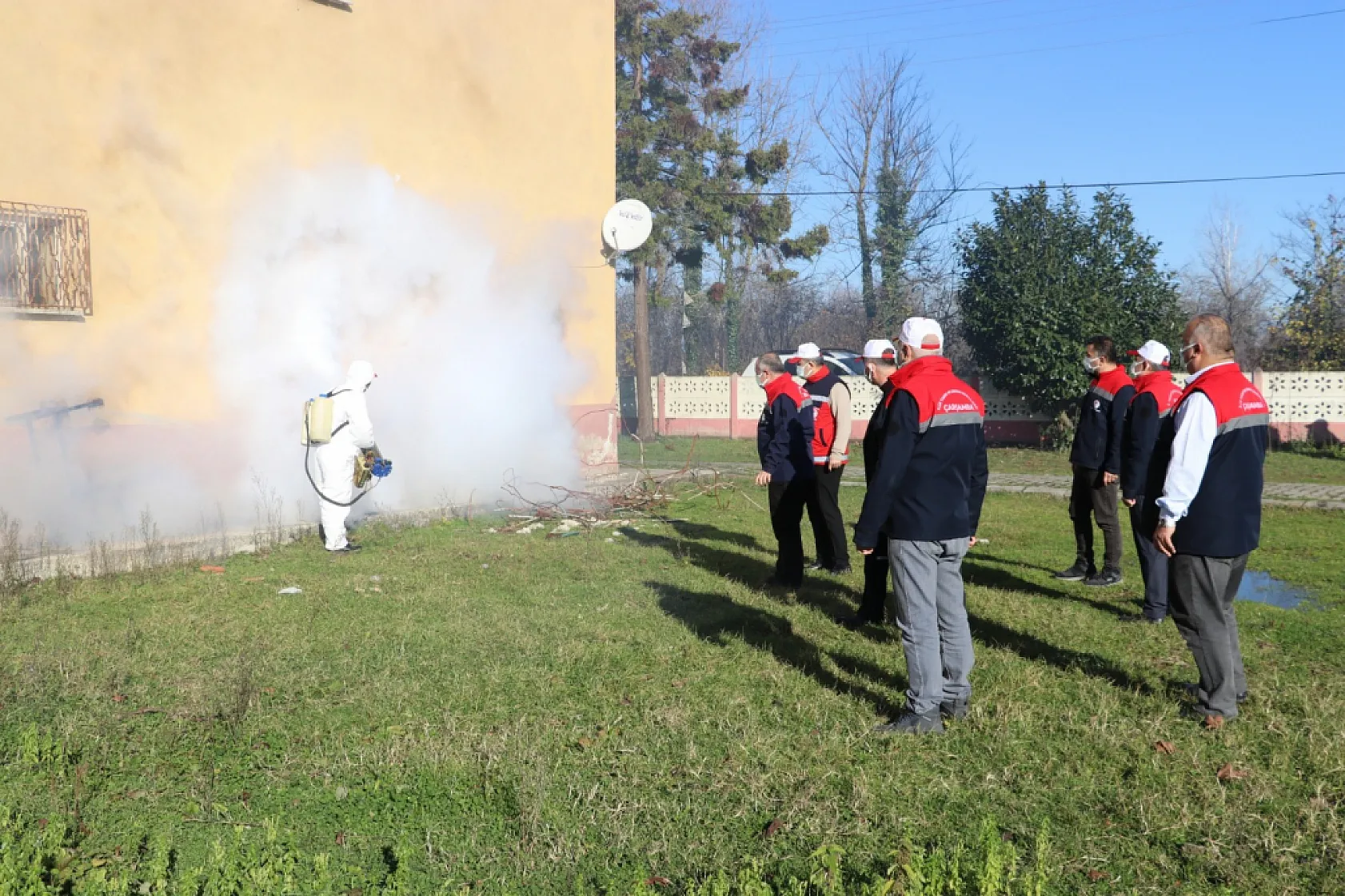 Tarım Zararlısına Karşı Çarşamba'da Mücadele Sürüyor