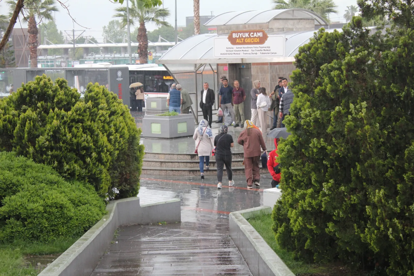 Meteoroloji uyarmıştı: Samsun'da beklenen kuvvetli sağanak bastırdı