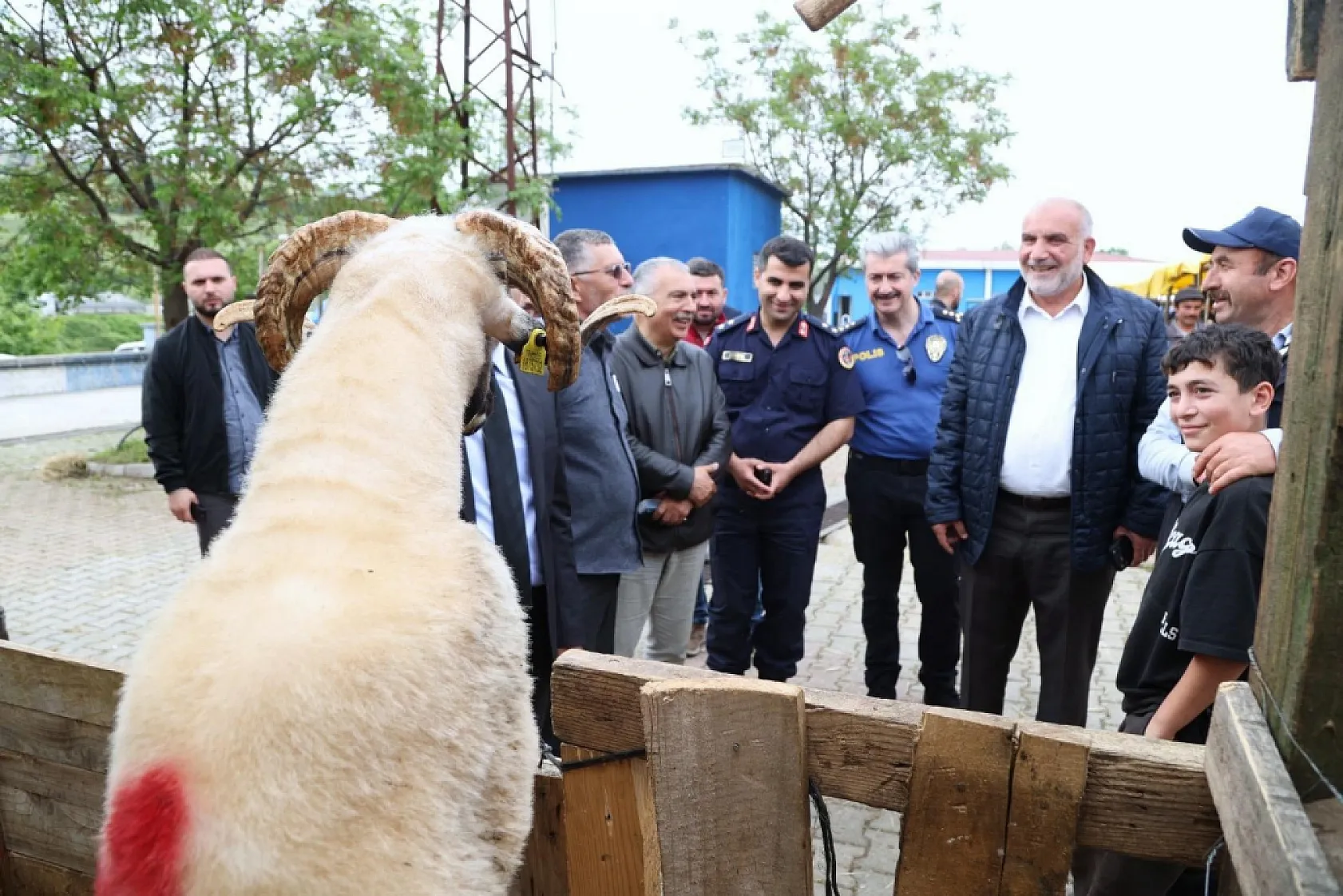 Canik Kurban Pazarı'na Akın: Vatandaş da Üretici de Memnun