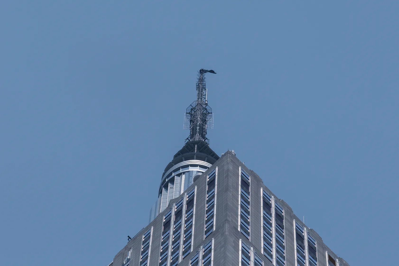 Empire State'in tepesinde tehlikeli evlilik teklifi: Rus çift gözaltına alındı
