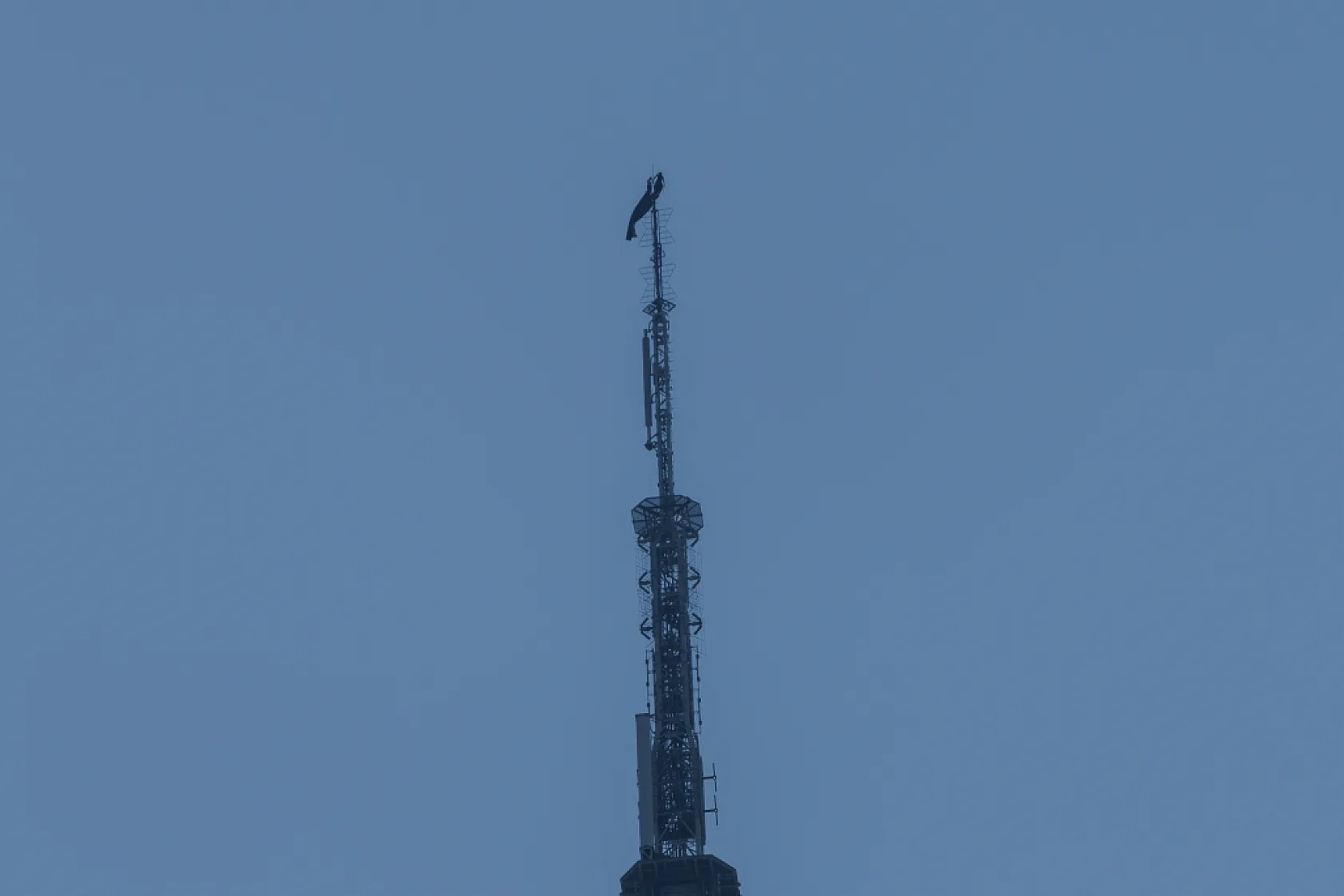 Empire State'in tepesinde tehlikeli evlilik teklifi: Rus çift gözaltına alındı