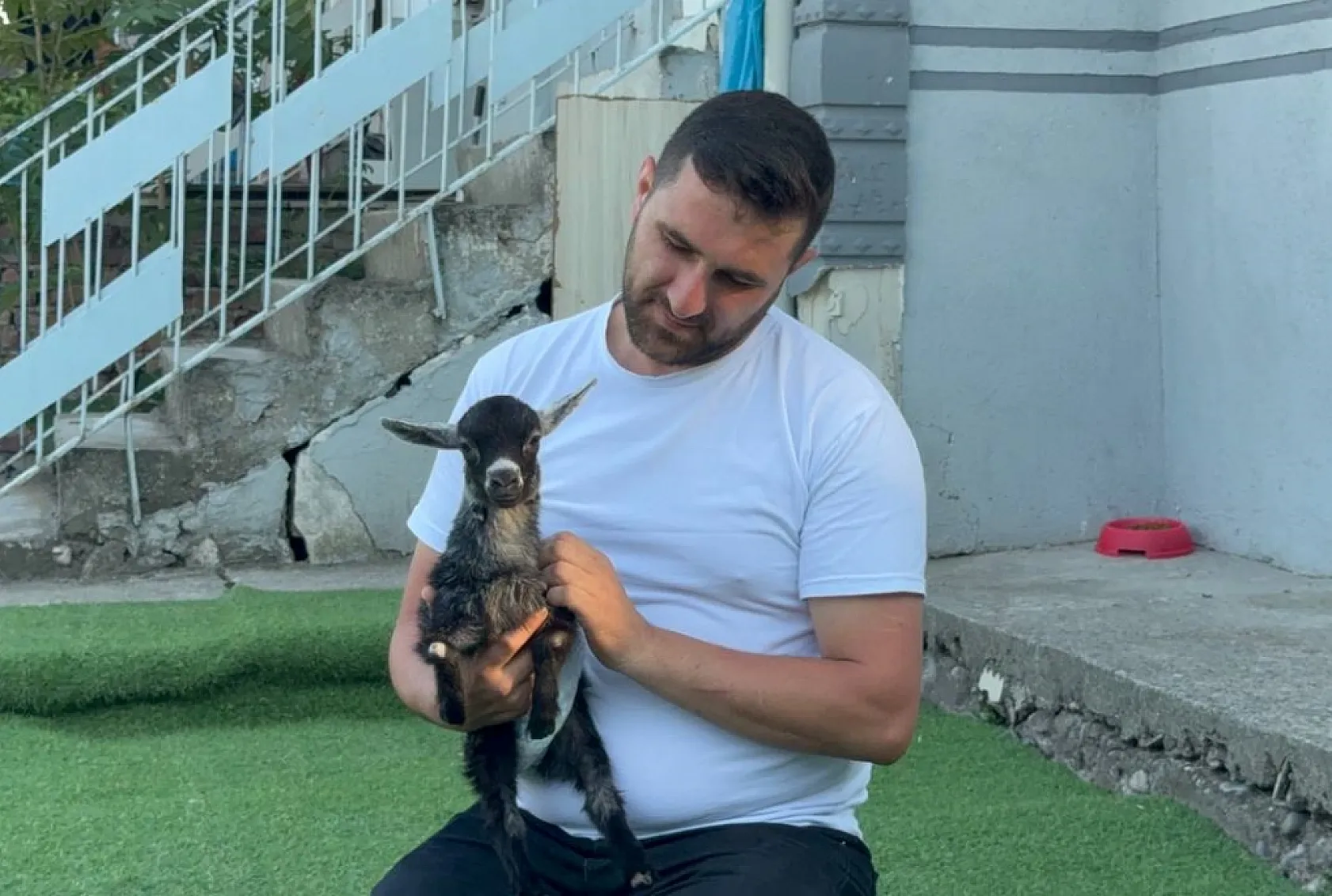 Yem almaya gittiler, engelli keçiyi sahiplendiler