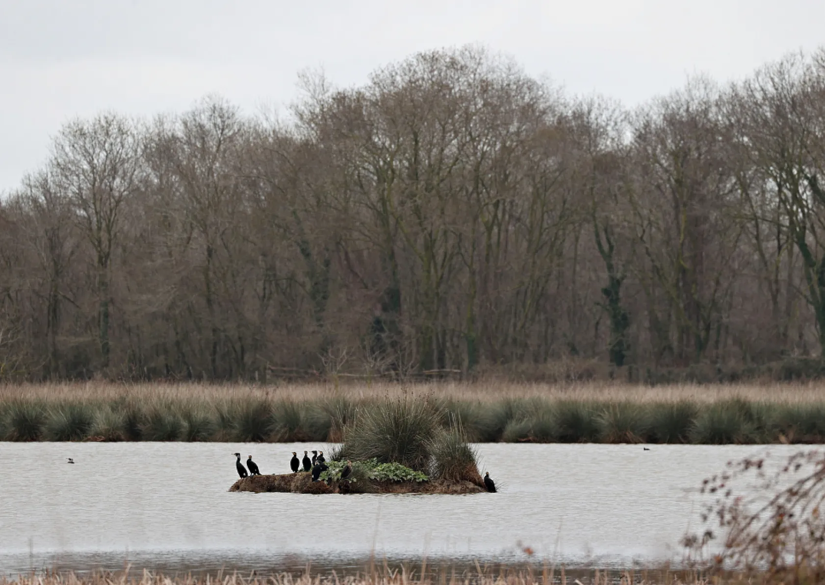Kızılırmak Deltası Zengin Biyoçeşitliliğiyle Dikkat Çekiyor