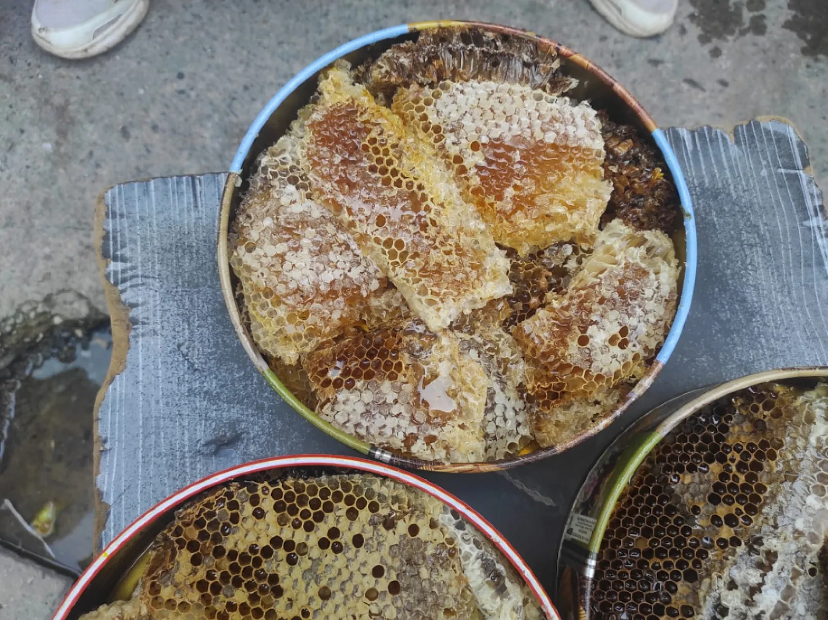 Sason'da ağaç kovuklarından çıkan balın kilosu 10 bin lira