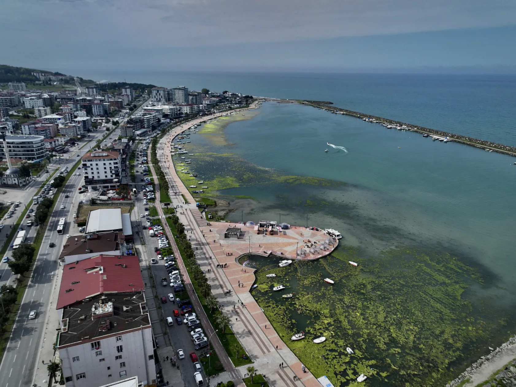 Samsun'da Atakum sahilinde yosun tabakası oluştu