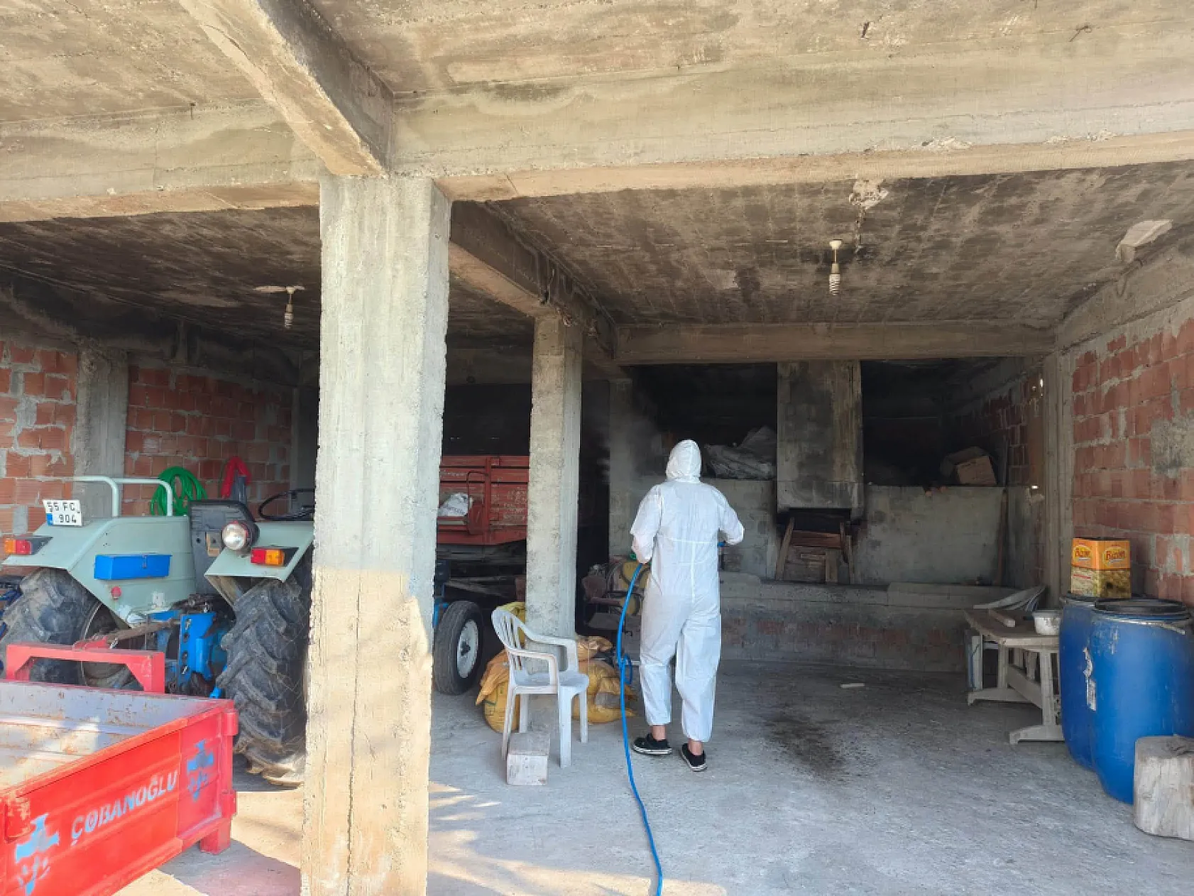 Çarşamba'da Kahverengi kokarcaya karşı haneler ilaçlanıyor