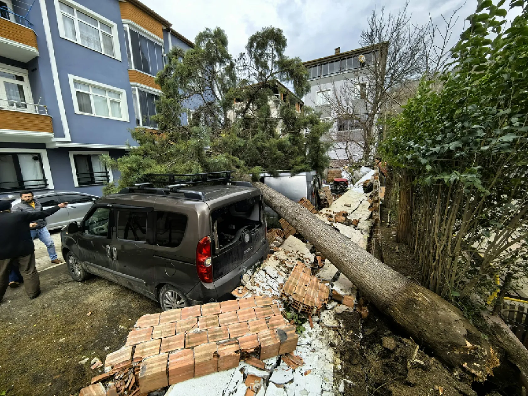 Fırtına Samsun'u Vurdu! Devrilen Ağaçlar Araçları Ezdi